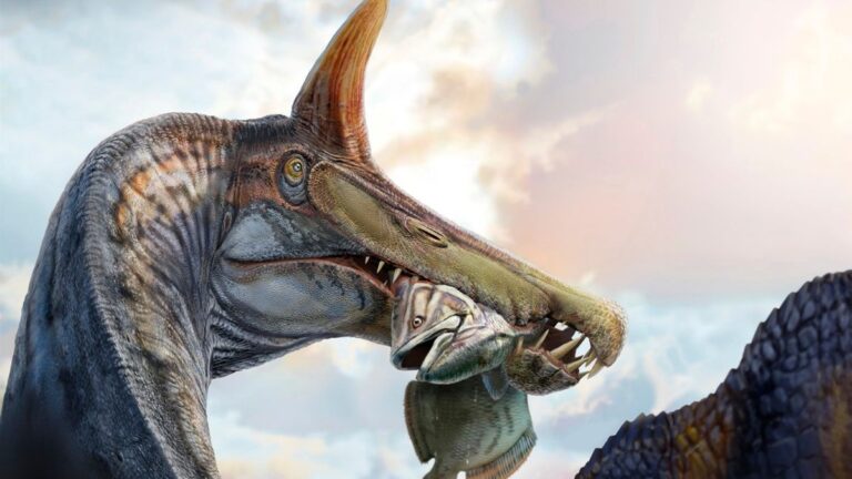 Spinosaurus-Fund in Sahara: Riesiger Fischjäger wiederentdeckt