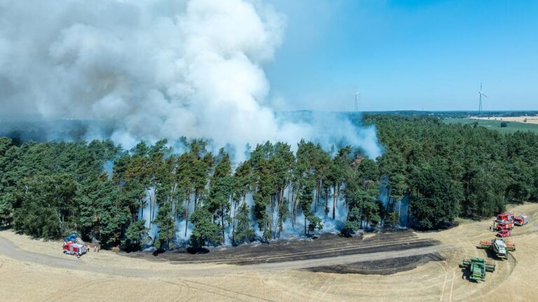 Münchner Sicherheitskonferenz: Klimawandel als wachsendes Sicherheitsrisiko