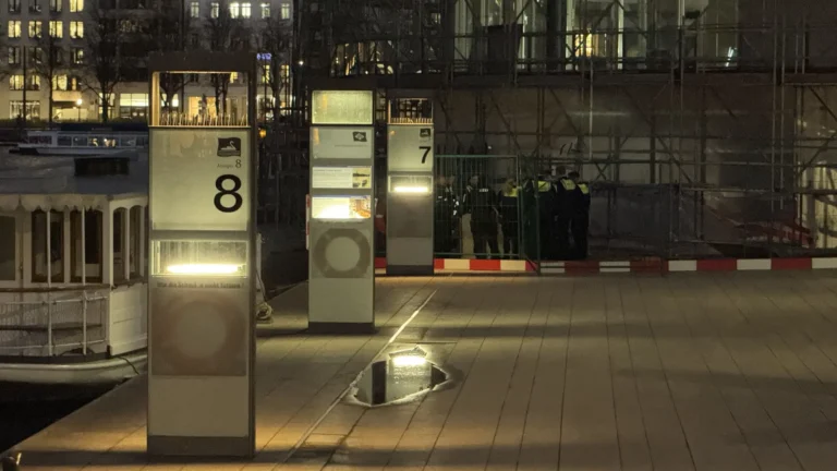 Wolf in Hamburg gefasst: Frau gebissen, Alster-Rettung